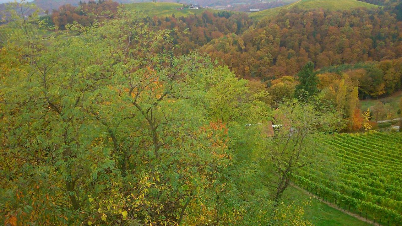 Apartmenthaus Styria Bad Gleichenberg Eksteriør billede
